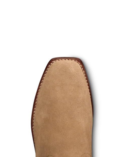 00e07f404a0b9bc1b5f8d7a8b90f7090fe758811-2000x2500-2.png