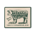 Cream-Green