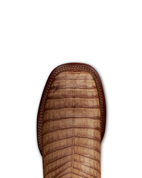 6f82548ba2e5fae08a319f3609becfea16918369-2000x2500-1.png
