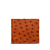 Pecan